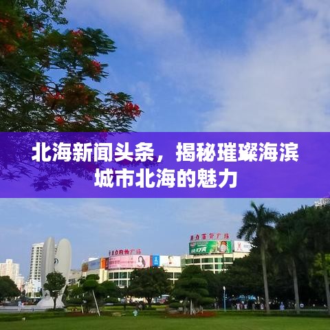 北海新聞揭秘，海濱明珠璀璨魅力