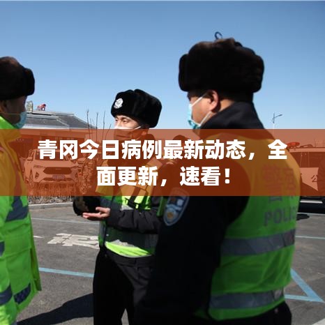 青岡今日病例最新動態(tài)，全面更新，速看！