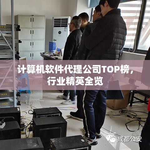 計算機軟件代理公司TOP榜，行業(yè)精英全覽