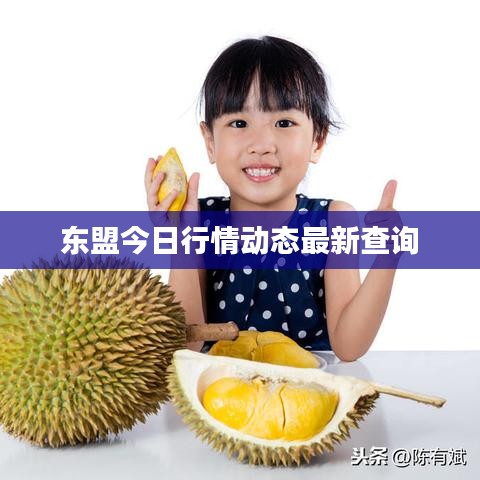 東盟今日行情動態(tài)最新查詢
