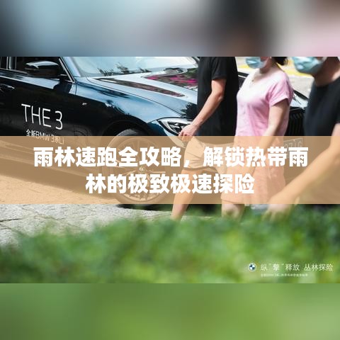 雨林速跑全攻略，解鎖熱帶雨林的極致極速探險