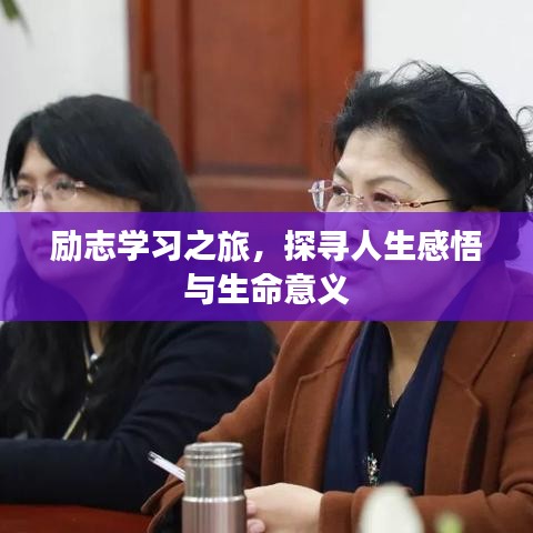 勵志學(xué)習(xí)之旅，探尋人生感悟與生命意義