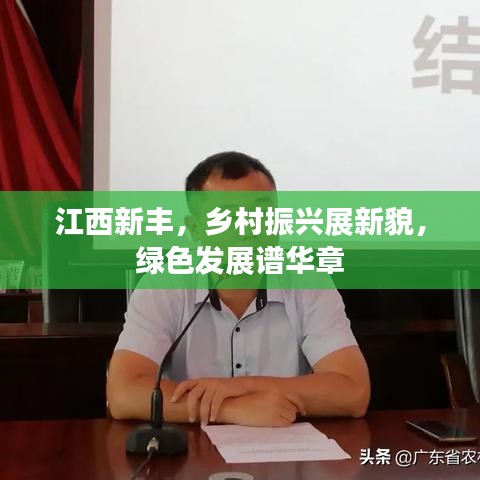 江西新豐，鄉(xiāng)村振興展新貌，綠色發(fā)展譜華章