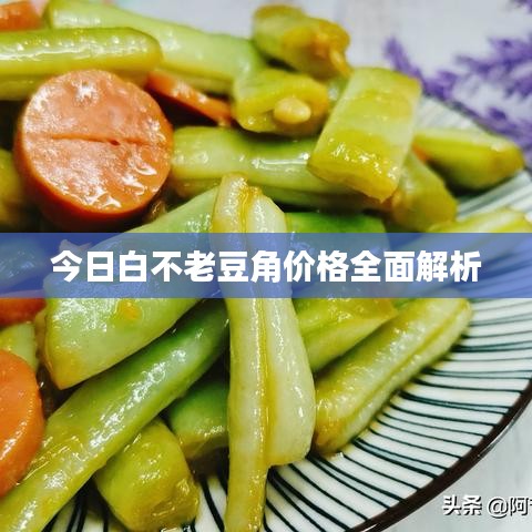 今日白不老豆角價格全面解析