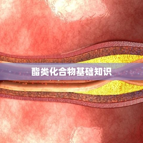 酯類化合物入門知識詳解