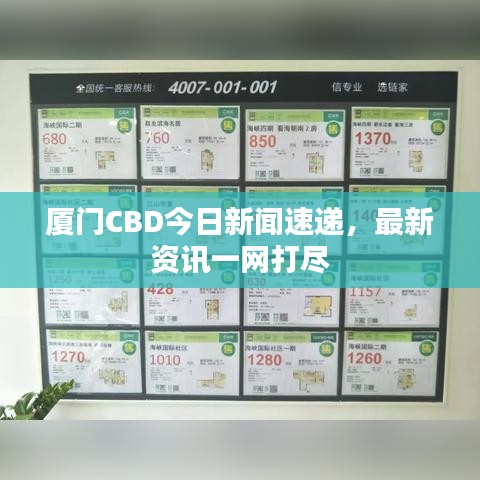 廈門CBD今日新聞速遞，最新資訊一網(wǎng)打盡