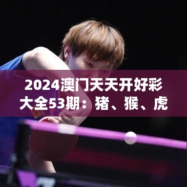 2024澳門天天開好彩大全53期：豬、猴、虎、雞，免費公開