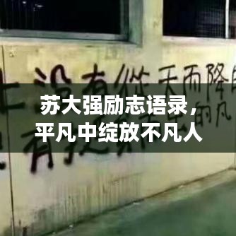 蘇大強(qiáng)勵(lì)志語(yǔ)錄，平凡中綻放不凡人生光芒