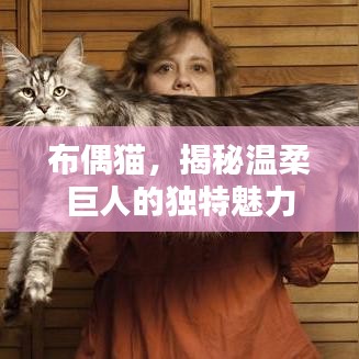 布偶貓，揭秘溫柔巨人的獨特魅力