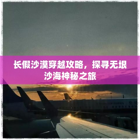 張王李趙 第4頁