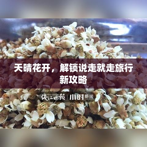 天晴花開，解鎖說走就走旅行新攻略