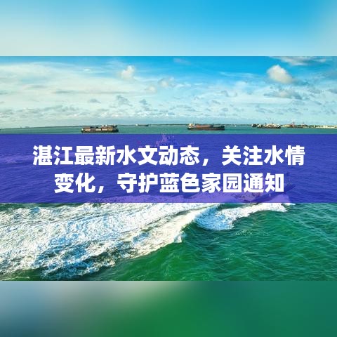 湛江最新水文動(dòng)態(tài)，關(guān)注水情變化，守護(hù)藍(lán)色家園通知