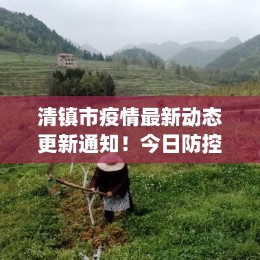 清鎮(zhèn)市疫情最新動態(tài)更新通知！今日防控進展揭秘！