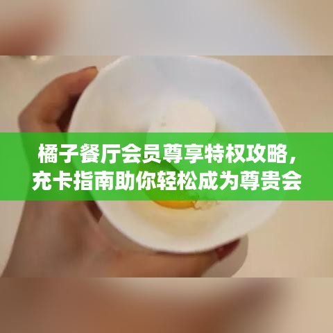 橘子餐廳會員尊享特權(quán)攻略，充卡指南助你輕松成為尊貴會員！