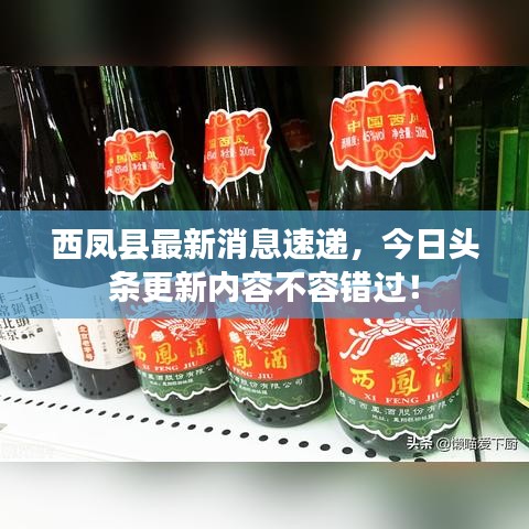西鳳縣最新消息速遞，今日頭條更新內容不容錯過！