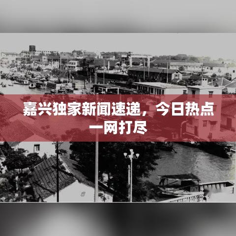 嘉興獨家新聞速遞，今日熱點一網(wǎng)打盡