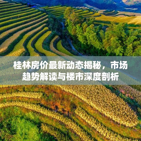 桂林房價最新動態(tài)揭秘，市場趨勢解讀與樓市深度剖析
