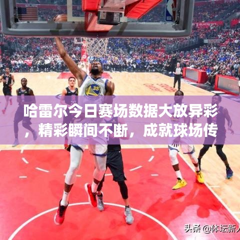 哈雷爾今日賽場數(shù)據(jù)大放異彩，精彩瞬間不斷，成就球場傳奇