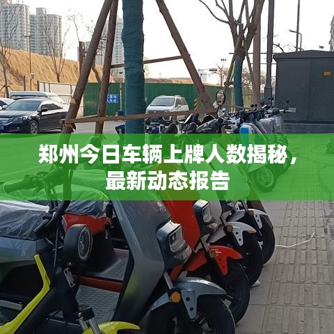 鄭州今日車輛上牌人數(shù)揭秘，最新動(dòng)態(tài)報(bào)告