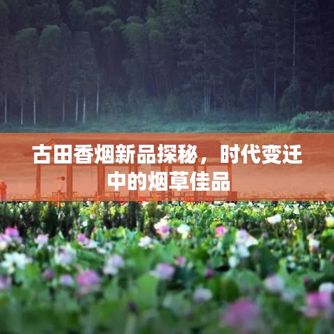 古田香煙新品探秘，時代變遷中的煙草佳品