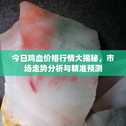 今日雞血價(jià)格行情大揭秘，市場走勢(shì)分析與精準(zhǔn)預(yù)測