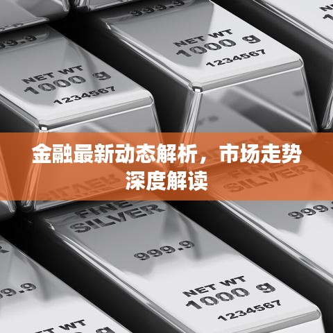 金融最新動(dòng)態(tài)解析，市場走勢(shì)深度解讀