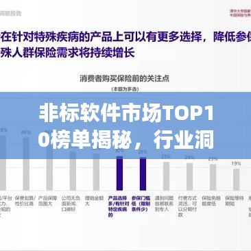 非標(biāo)軟件市場(chǎng)TOP10榜單揭秘，行業(yè)洞察與市場(chǎng)概覽