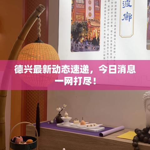 德興最新動態(tài)速遞，今日消息一網(wǎng)打盡！