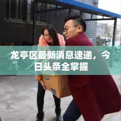 龍亭區(qū)最新消息速遞，今日頭條全掌握