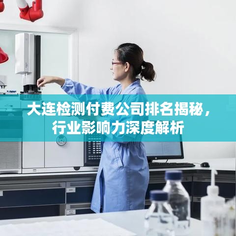 大連檢測付費(fèi)公司排名揭秘，行業(yè)影響力深度解析