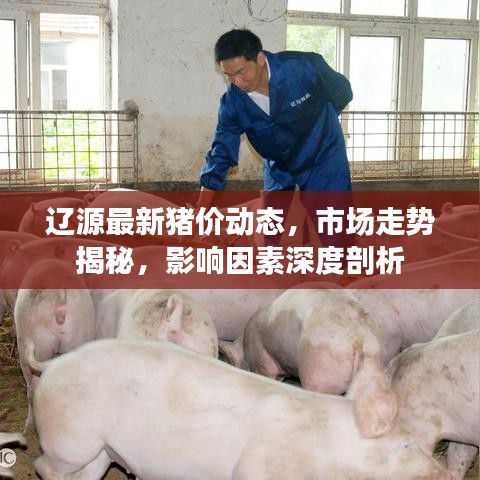 遼源最新豬價(jià)動(dòng)態(tài)，市場(chǎng)走勢(shì)揭秘，影響因素深度剖析