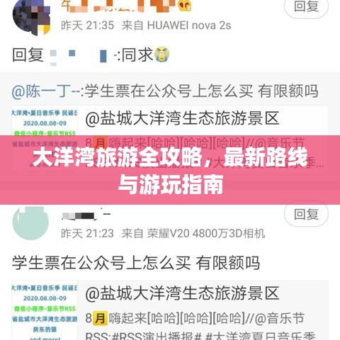 大洋灣旅游全攻略，最新路線與游玩指南