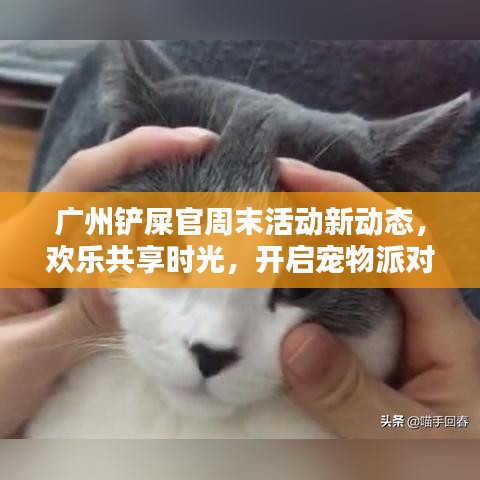廣州鏟屎官周末活動新動態(tài)，歡樂共享時光，開啟寵物派對之門
