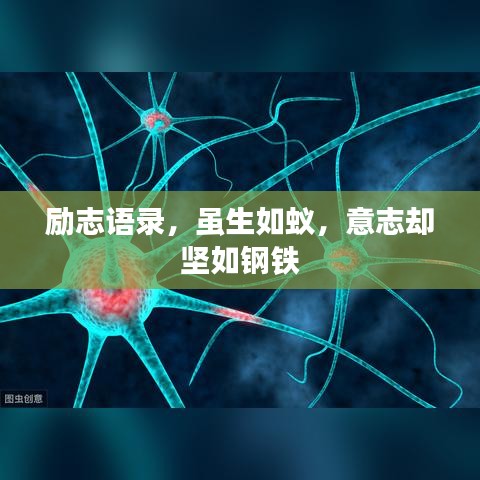 勵(lì)志語錄，雖生如蟻，意志卻堅(jiān)如鋼鐵