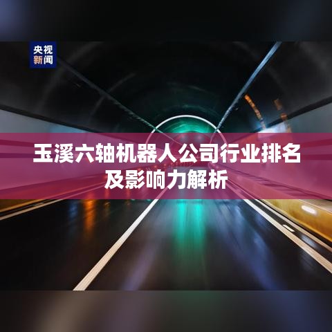 玉溪六軸機(jī)器人公司行業(yè)排名及影響力解析