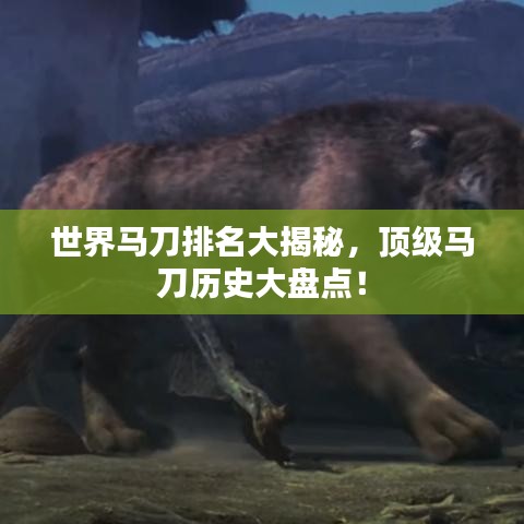 世界馬刀排名大揭秘，頂級(jí)馬刀歷史大盤點(diǎn)！