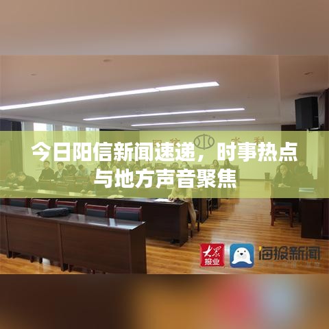 今日陽(yáng)信新聞速遞，時(shí)事熱點(diǎn)與地方聲音聚焦