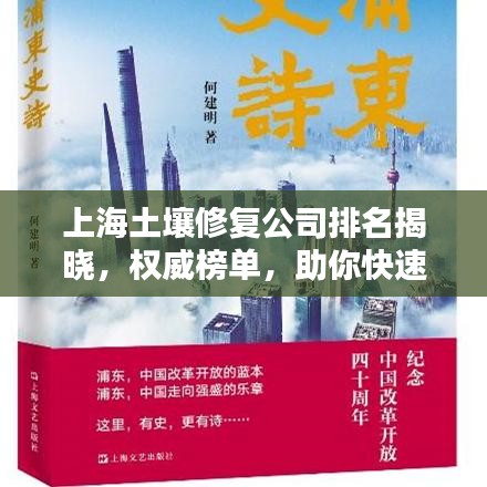 上海土壤修復(fù)公司排名揭曉，權(quán)威榜單，助你快速了解行業(yè)佼佼者