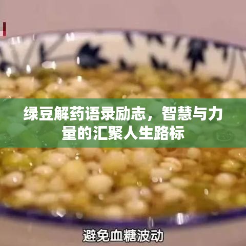 布衣蔬食 第3頁