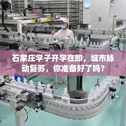 石家莊學(xué)子開學(xué)在即，城市脈動(dòng)復(fù)蘇，你準(zhǔn)備好了嗎？