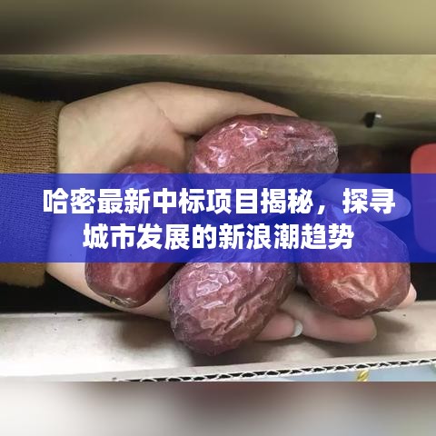 哈密最新中標(biāo)項目揭秘，探尋城市發(fā)展的新浪潮趨勢