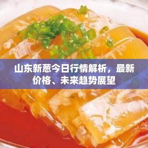 山東新蔥今日行情解析，最新價格、未來趨勢展望