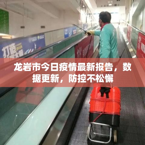 龍巖市今日疫情最新報(bào)告，數(shù)據(jù)更新，防控不松懈