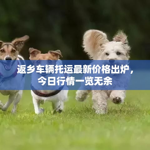返鄉(xiāng)車(chē)輛托運(yùn)最新價(jià)格出爐，今日行情一覽無(wú)余