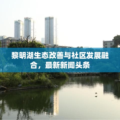 黎明湖生態(tài)改善與社區(qū)發(fā)展融合，最新新聞頭條