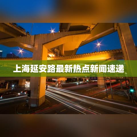 物稀為貴 第4頁