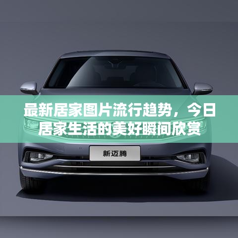 窮鳥入懷 第3頁