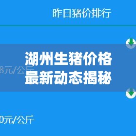 湖州生豬價格最新動態(tài)揭秘，市場走勢及影響因素深度解析