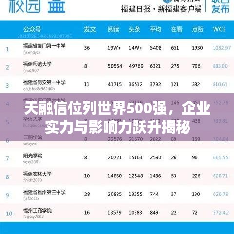 天融信位列世界500強(qiáng)，企業(yè)實(shí)力與影響力躍升揭秘