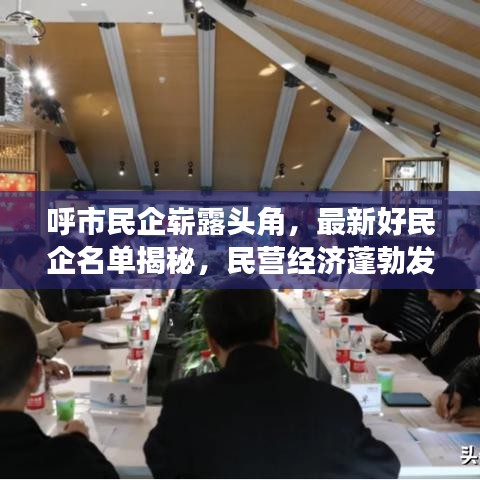 呼市民企嶄露頭角，最新好民企名單揭秘，民營(yíng)經(jīng)濟(jì)蓬勃發(fā)展榮耀榜單揭曉！